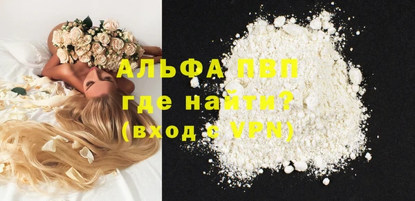 Альфа ПВП Няндома