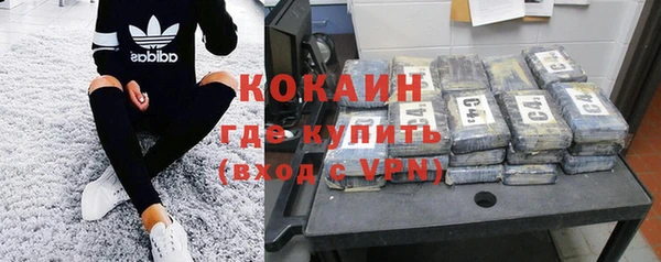 Альфа ПВП Няндома