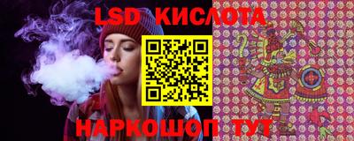 дживик Донской