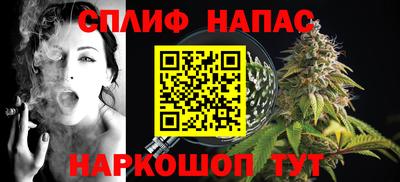 Альфа ПВП Будённовск